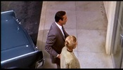 Marnie (1964)Sean Connery, Tippi Hedren, camera above and car